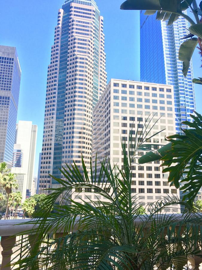 New Luxury Dt La Apt- Pool, Gym, Staple Center Los Ángeles Exterior foto